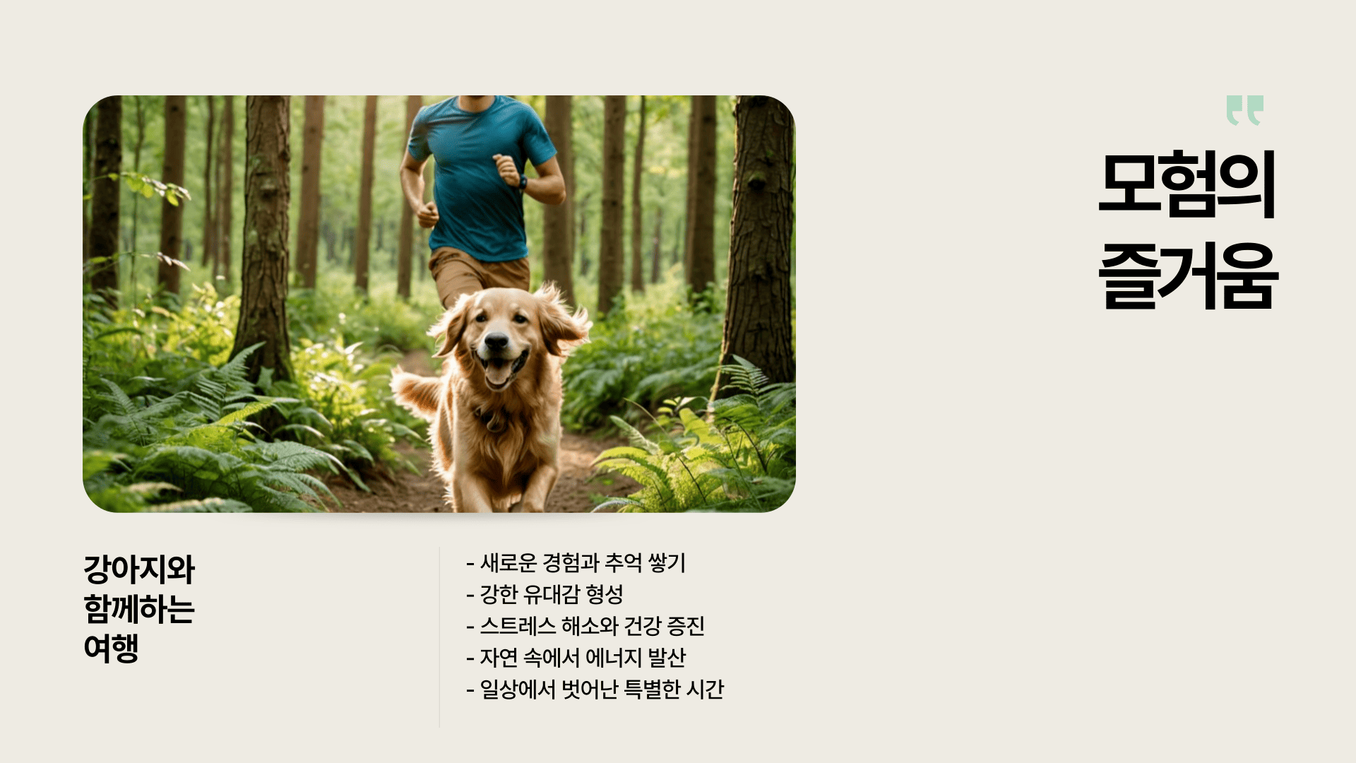 adventuretoursmk웹사이트